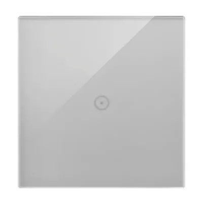 Panel dotykowy Simon 54 Touch DSTR11/71 w kolorze srebrna mgła, 1-modułowy z jednym polem dotykowym.