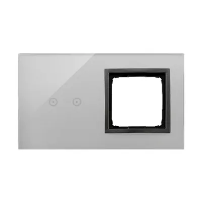 Panel dotykowy Simon 54 Touch DSTR220/72 w kolorze burzowa chmura, z dwoma polami dotykowymi i otworem na osprzęt.