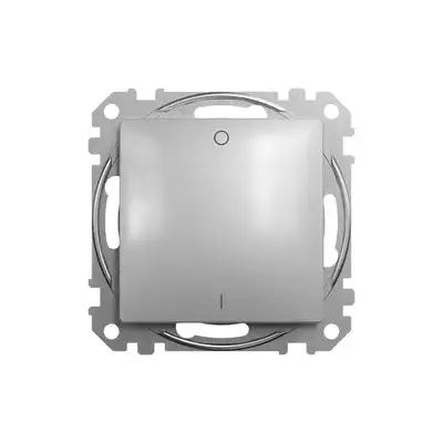 Łącznik dwubiegunowy 10AX Srebrne Aluminium Schneider Sedna Design&amp;Elements - SDD113102