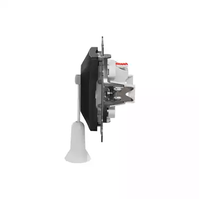 Przycisk z cięgnem Czarny Antracyt Schneider Sedna Design&amp;Elements - SDD114122