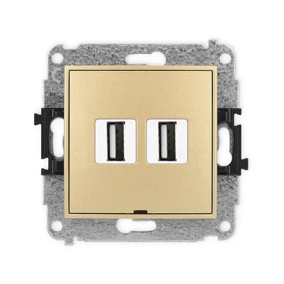Podwójne gniazdo USB-A 2.0 Karlik MINI w kolorze złotym, z dwoma portami USB, przeznaczone do montażu podtynkowego.