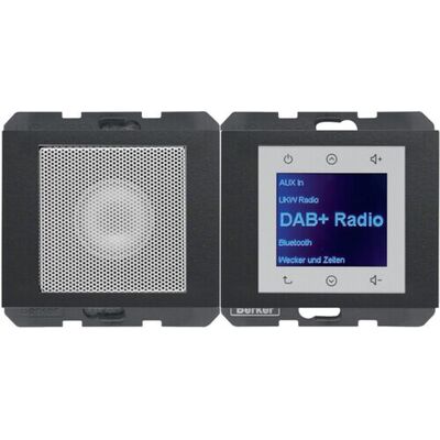 Radio Touch DAB+ z głośnikiem Antracyt mat Berker K.1 - 29807006