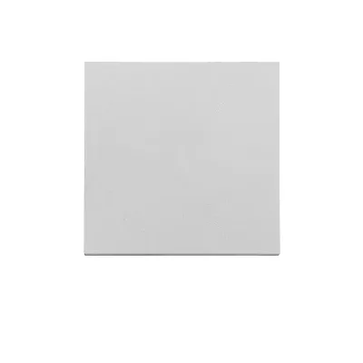 Klawisz do mechanizmów Simon 55 Aluminium mat TKW1/143 - matowe wykończenie, producent Kontakt-Simon.