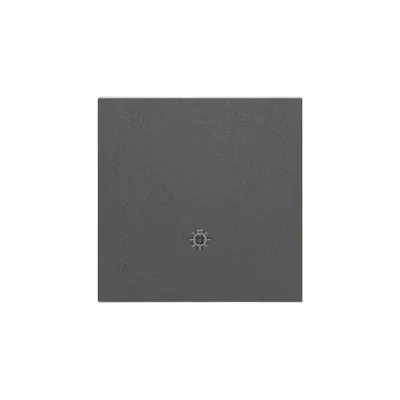 Klawisz do mechanizmu SP1M Grafitowy mat Simon 55 - TKWS1/116, producent Kontakt-Simon, z symbolem światła.