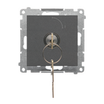 Łącznik chwilowy jednobiegunowy z kluczem, 2 pozycyjny, 0-1 Grafitowy mat Simon 55 - TP1K.01/116