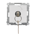 Łącznik chwilowy jednobiegunowy z kluczem, 2 pozycyjny, 0-1 Jasnoszary mat Simon 55 - TP1K.01/114