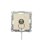 Łącznik chwilowy jednobiegunowy z kluczem, 2 pozycyjny, 0-1 Szampański mat Simon 55 - TP1K.01/144