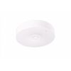 Oprawa awaryjna natynkowa Starlet Round LED SO 150 NM 1h MT 1W Biały Intelight - 91989