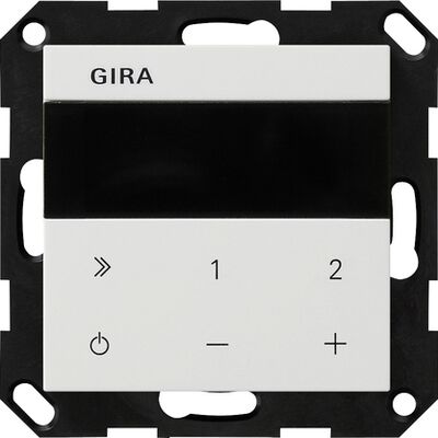 Radio internetowe z Bluetooth Biały połysk Gira System 55 - 232003