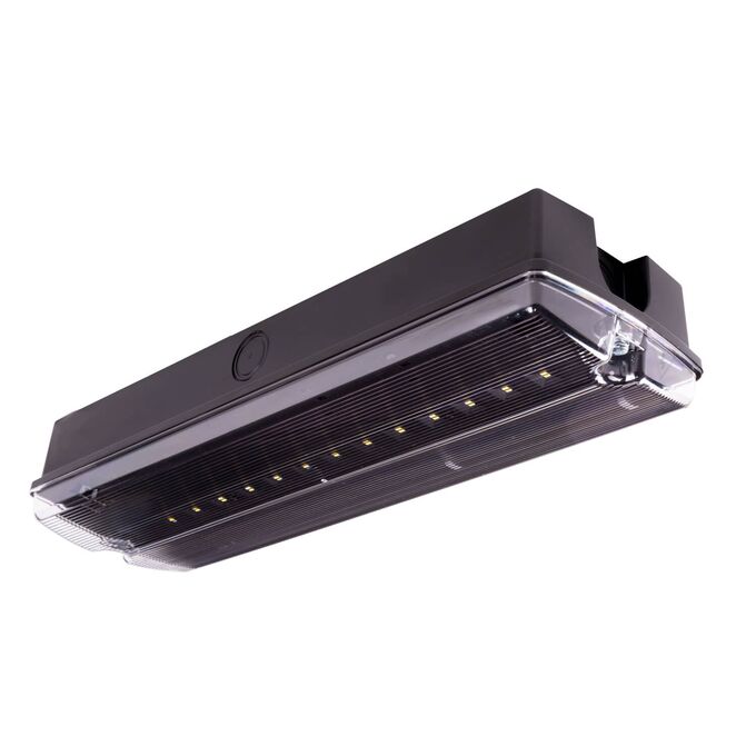 Oprawa ewakuacyjno-awaryjna ORION LED II 100 SA 3h AT 4W Czarny Intelight - 89775