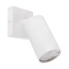 Oprawa ścienno-sufitowa MANAM GU10 1D WHITE Biały Ideus Strühm - 03759