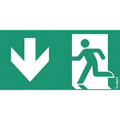 Piktogram WYJŚCIE W DÓŁ LEWO do Oximia, Suprema, Orion DS, Kasjopeja - E9 (logo) Intelight - 85109