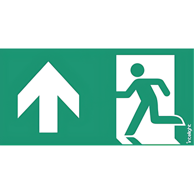 Piktogram WYJŚCIE W GÓRĘ LEWO do Oximia, Suprema, Orion DS, Kasjopeja - E11 (logo) Intelight - 85111