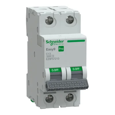 Wyłącznik nadprądowy Schneider Electric Easy9 Pro 2P C 13A 6kA, model EZ9F57213, z zielonymi przełącznikami ON/OFF.